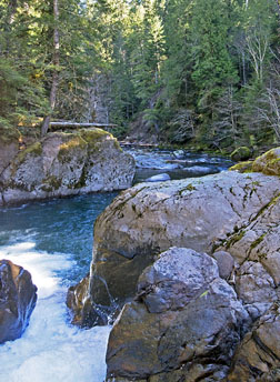 south santiam river graphic